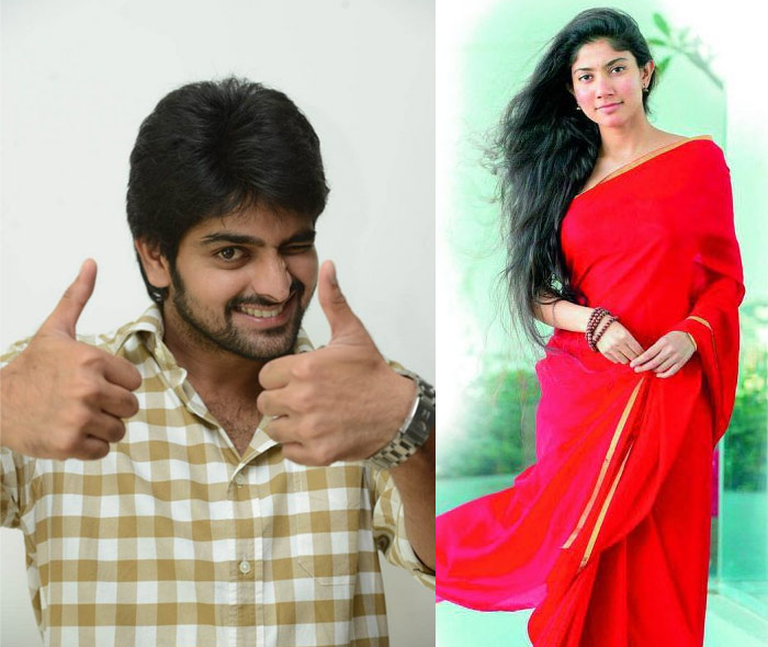 sai pallavi,fidaa,naga sourya,al vijay  సాయి పల్లవి కి హిట్... ఈ హీరో ఫుల్ ఖుషి..!