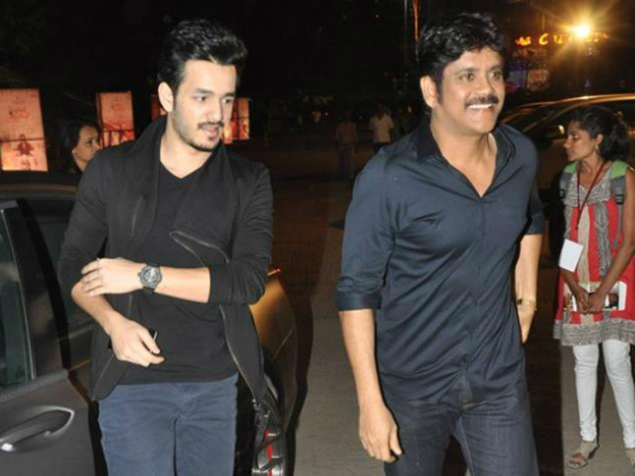 nagarjuna,akhil,akhil second movie,naga chaitanya,rarandoi veduka chooddam,vikram k kumar  మడమ తిప్పేది లేదంటున్న నాగ్‌....! 