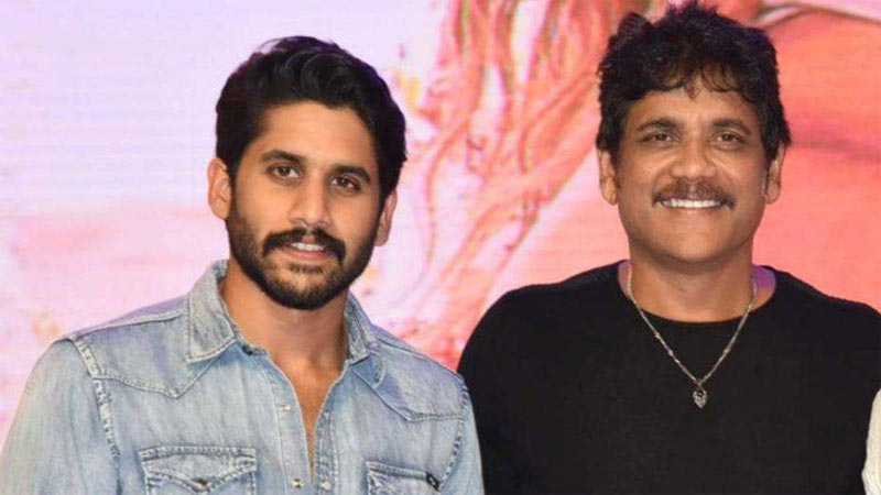 nagarjuna,naga chaitanya,samantha  చై-సామ్ డివోర్స్ పై మరోసారి నాగ్ రియాక్షన్