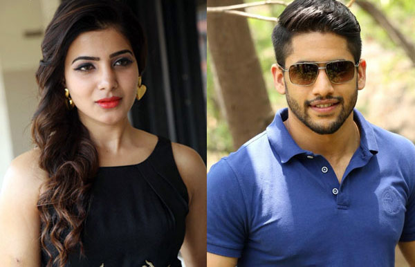 nagarjuna,samantha,shock,naga chaitanya,marriage  నాగ్‌కు సమంత...మళ్ళీ షాక్‌! 