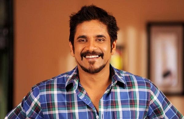 nagarjuna,soggade chinni nayana,chiranjeevi,balakrishna  సీనియర్లకు నాగ్‌ సవాల్..! 