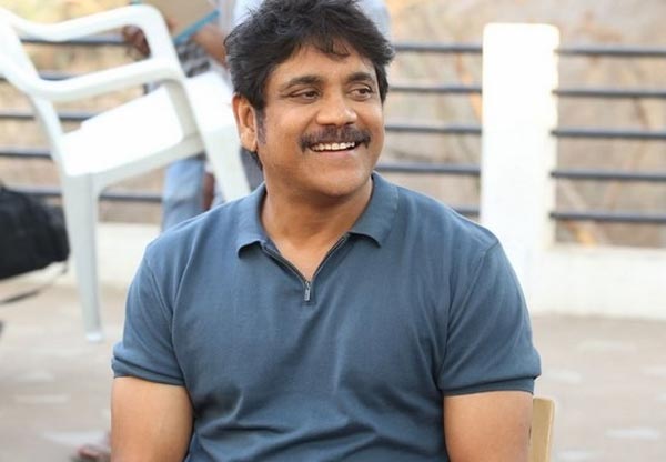 nagarjuna,soggade chinni nayana,oopiri,trivikram srinivas  సరైన నిర్ణయం తీసుకున్న నాగ్‌! 