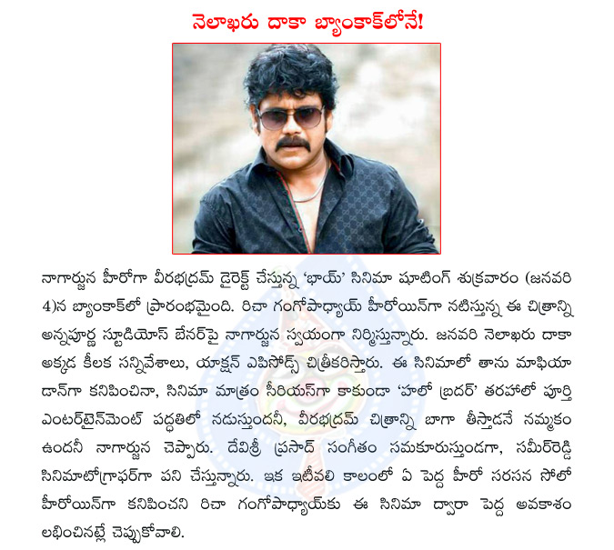 nagarjuna,telugu actor nagarjuna,veerabhadram,bhai,telugu movie bhai ...