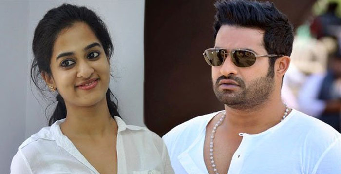 nanditha raj,jai lava kusha,jr ntr,nanditha in jai lava kusha,bobby,kalyan ram,ntr arts  ఎన్టీఆర్ సినిమాలో ఈ భామ కూడానా..!