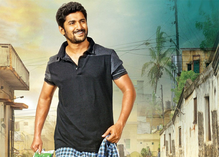 nani,akhil,hello,nagarjuna,mca,dil raju  పోటీ నుండి నానినే వెనక్కితగ్గాడు!