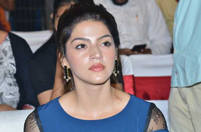 mehreen,nota movie,vijay deverakonda,no importance  ఏం ఉందని ‘నోటా’లో చేసిందో మరి?