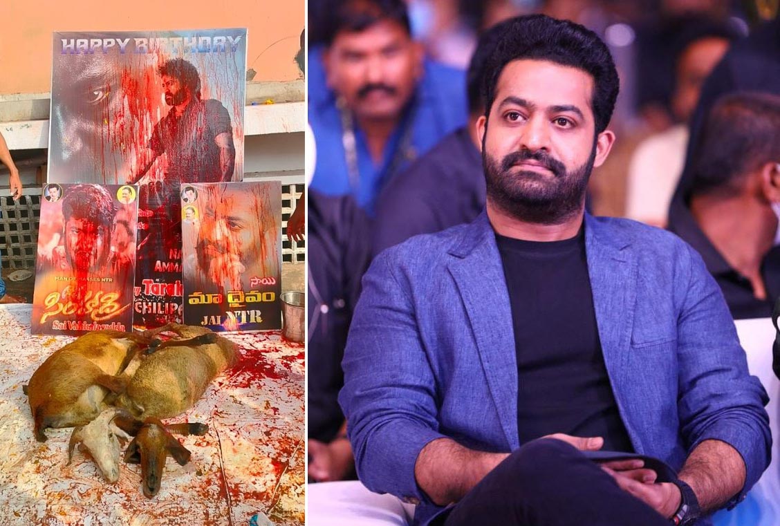 jr ntr fans  ఎన్టీఆర్ ఫాన్స్ అరెస్ట్ 