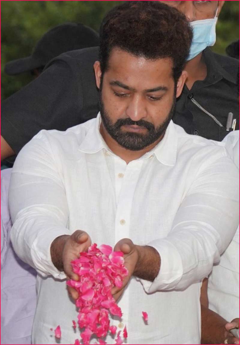 ntr  ఎన్టీఆర్ అంటే ఎందుకింత అభిమానం 