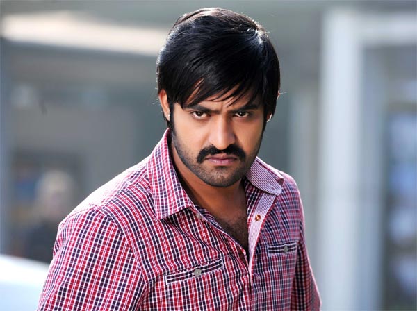 ntr,sukumar,brundavanam,temper,badhsha,raviteja  ఎన్టీఆర్‌ ఒంటరైపోతున్నాడు..! 