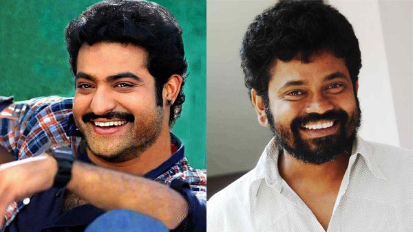 ntr,sukumar,rakul preeth singh,interpole officer role  ఎన్టీఆర్‌, సుకుమార్‌ సినిమాలో ట్విస్ట్‌ ఇదే!