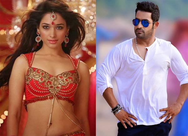 ntr,thamanna,sukumar,maa nannaku prematho,alludu seenu  ఐటెం సాంగ్ కు తమన్నానే కావాలంటున్నాడు! 