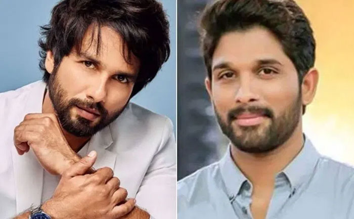 sahid kapoor,praises,allu arjun dance,bollywood hero,bunny  బన్నీ డ్యాన్స్‌కి మరో బాలీవుడ్ హీరో ఫిదా!