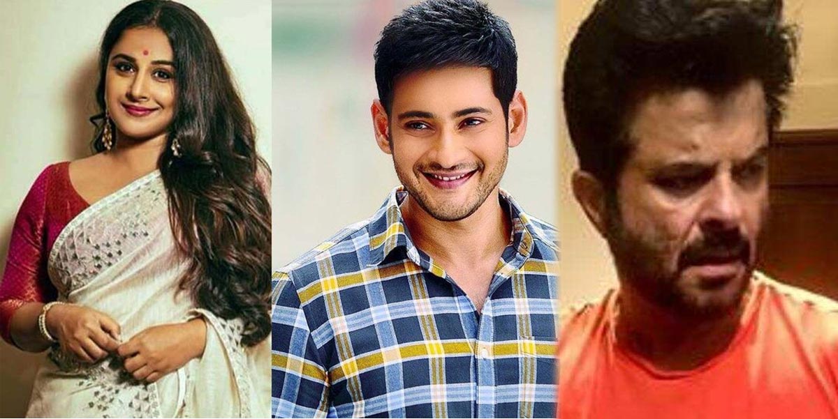 mahesh babu,anil kapoor,vidya balan,sarkaru vaari paata,pan india craze  పాన్ ఇండియా కెళుతున్న ‘సర్కారు వారి పాట’!