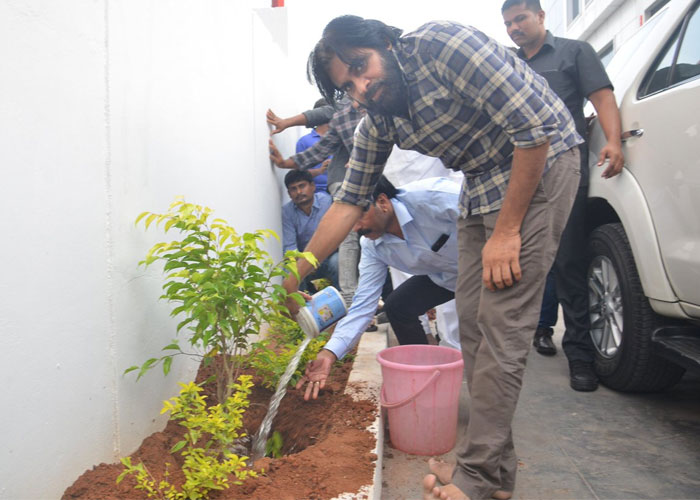 pawan kalyan,annayya challenge,chiranjeevi,harithaharam,green challenge  అన్నయ్య మాటకి 'తమ్ముడు' స్పీడ్ చూశారా! 