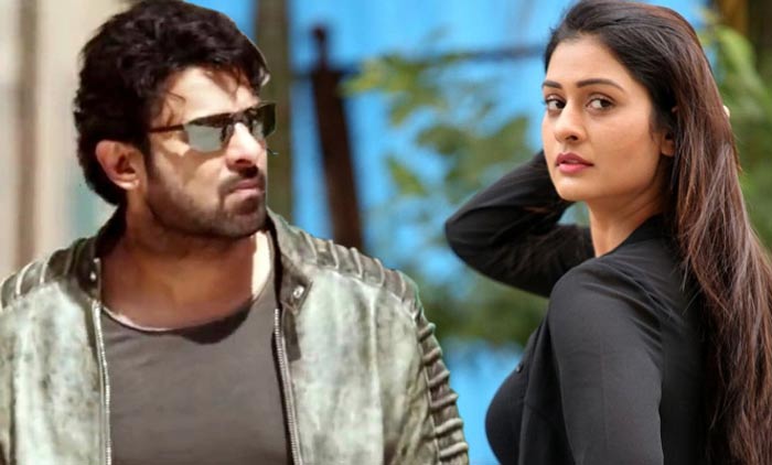 prabhas,payal rajput,interesting comments,rx-100 beauty  ప్రభాస్‌ అంటే ఇష్టం.. ఆయనలో ఏదో ఉంది!