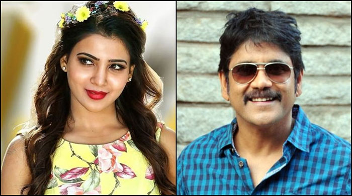 nagarjuna,samantha,political,entry,rumours  మొన్న సమంత, ఇప్పుడు నాగార్జున..!