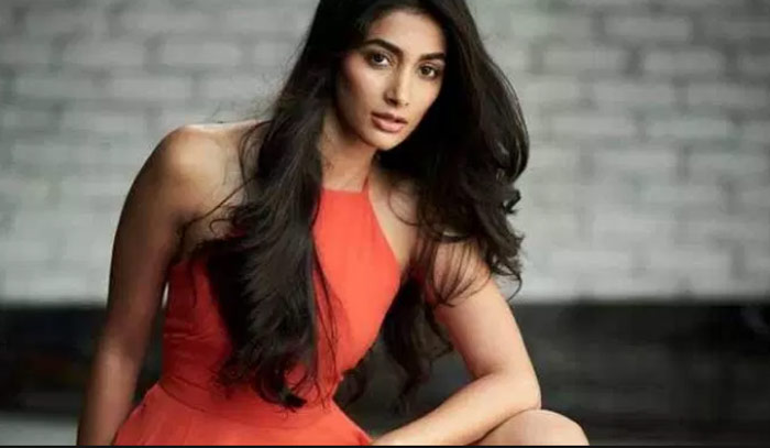 Pooja Hegde Bikini Treat In Aravinda Sametha మరొక్కసారి పూజా బికినీ ట్రీట్