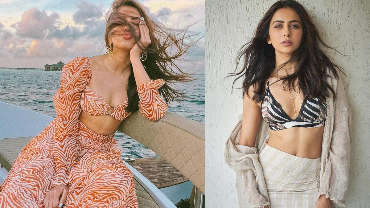 pooja hegde,south,bollywood,tollywood,tamil,rakul preet  పూజ హెగ్డే అలా.. రకుల్ ప్రీత్ ఇలా 