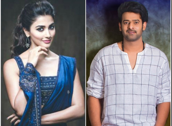 pooja hegde,prabhas,next movie,ntr,mahesh babu  ప్రభాస్ తో అవకాశం అదృష్టం అంటున్న భామ!