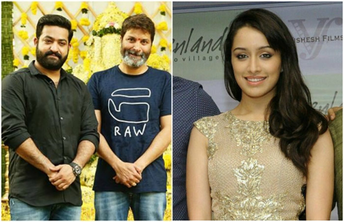 prabhas,heroine,shraddha kapoor,acting,jr ntr,trivikram,movie  ఎన్టీఆర్ కోసం ప్రభాస్ హీరోయిన్నా..?