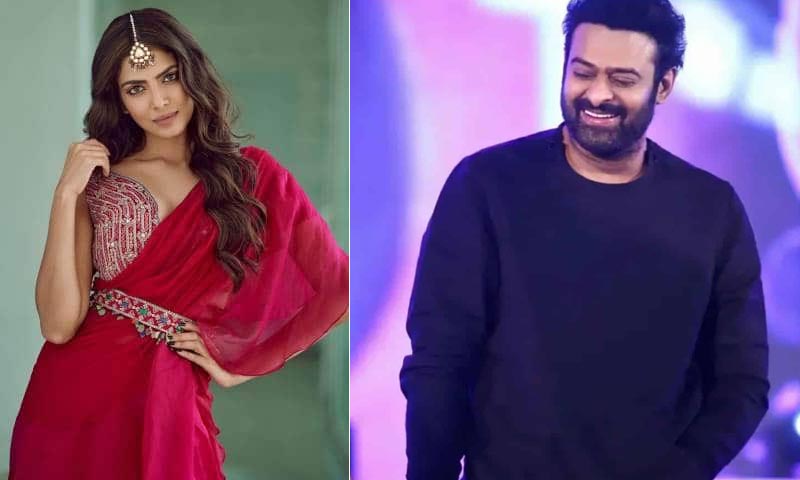 prabhas,raja deluxe  ప్రభాస్-మారుతి: రాజా డీలక్స్ లో అవే హైలెట్!