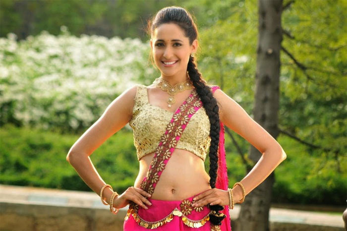 pragya jaiswal,chiranjeevi,mega star,sye raa narasimha reddy  'సై రా' లో ఈ సుందరి నిజమేనా..!