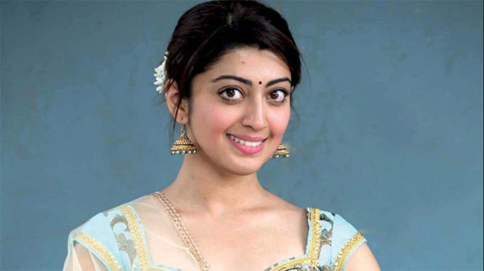 pranitha,pawan kalyan,jr ntr,help,corona,bollywood  పవన్, ఎన్టీఆర్‌ల గురించి ప్రణీత ఏమందంటే..?