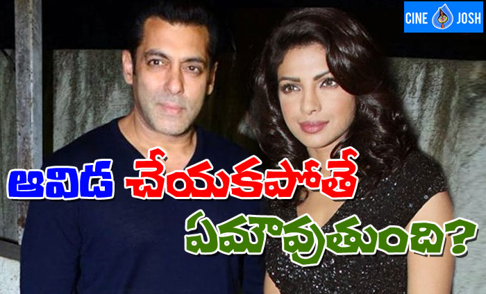 salim khan,salman khan,bharat,priyanka chopra,cinema  సినీపరిశ్రమలో ఇవి సహజమేనంటున్నాడు! 