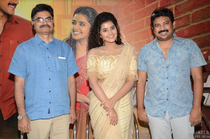 rakshasudu,success,anupamaparameswaran,bellamkonda srinivas,press meet  స‌క్సెస్ మీట్‌కు అందుకే రాలేదు: అనుపమ