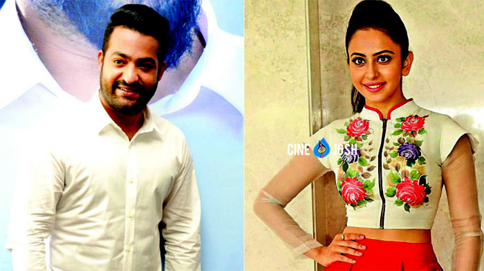 rakul preet singh,allu arjun,ram charan,jr ntr,the best dancer jtr  నాకు... ఆయనే బెస్ట్..! 