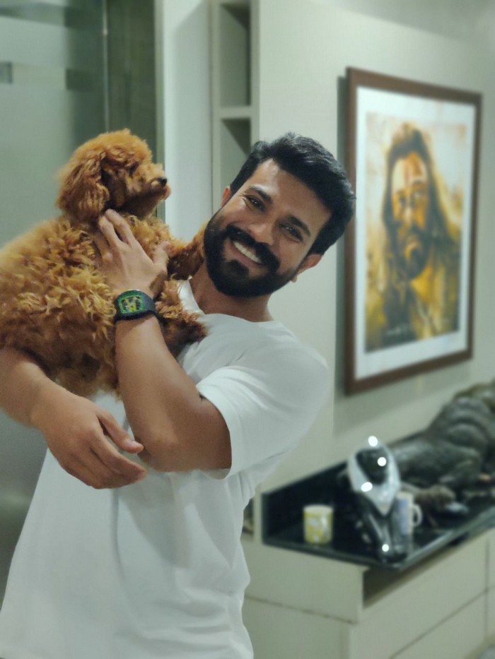 ram charan,new pet,rhyme,dog,charan  న్యూ పెట్ Rhyme తో రామ్ చరణ్ 