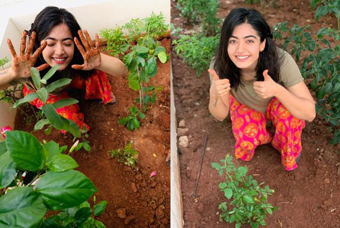 rashmika mandanna,green india challenge,raashi khanna,kalyani priyadarshan,samantha  సమంత ఛాలెంజ్‌ను స్వీకరించిన రష్మిక!