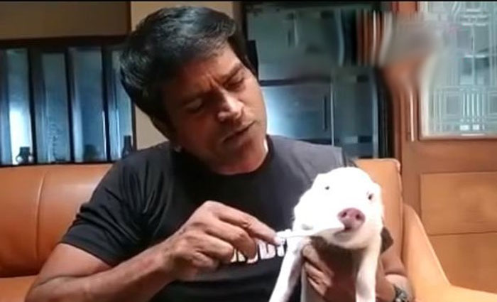 ravi babu,adhugo movie,video,social media  రవిబాబు పందిపిల్ల పళ్ళుతోముతున్నాడు! 