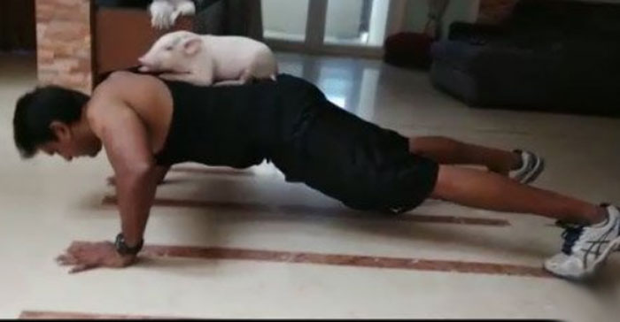 ravi babu,piglet,fitness challenge  రవిబాబు క్రియేటివిటీకి హ్యాట్సాఫ్..! 