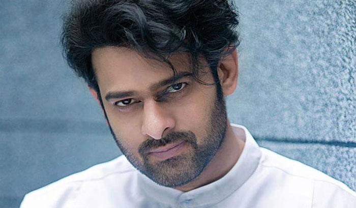 saaho,music director,jhibran,sujith,prabhas  ‘సాహో’ టీం నిశ్చింతగా ఉంది..! 