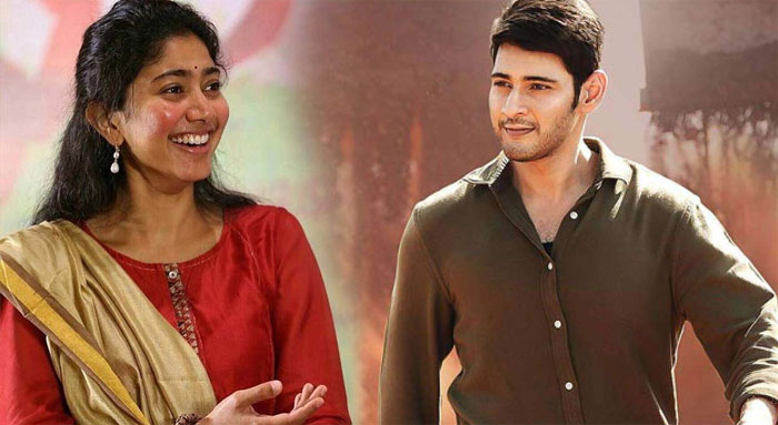 sai pallavi,mahesh babu,anil ravipudi,film,details  సాయిపల్లవి గ్లామర్ షో చేయదుగా.. మరెలా?