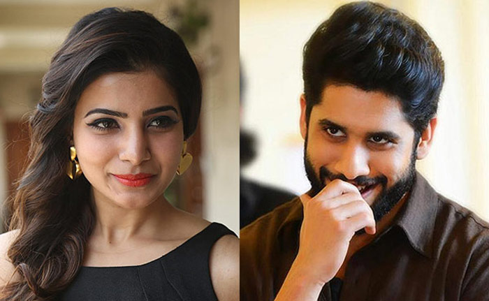 samantha,naga chaitanya,movies,release,same date  చైతు, సామ్‌లు పోటీపడబోతున్నారా? 