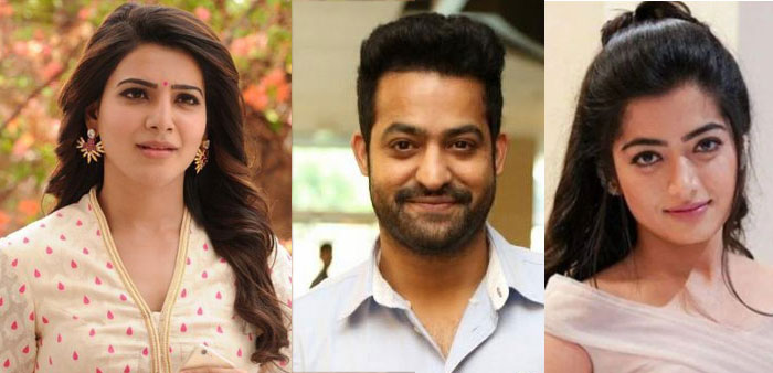 rashmika mandanna,samantha,ntr 30,jr ntr,trivikram srinivas  జూనియర్ ఎన్టీఆర్ సరసన సమంత, రష్మిక?