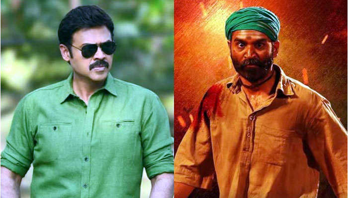 telugu remake,dhanush asuran,venkatesh,shriya saran,sreekanth addala,suresh daggubati  ‘అసురన్’ రీమేక్..: వెంకీ సరసన ఈ భామేనా!