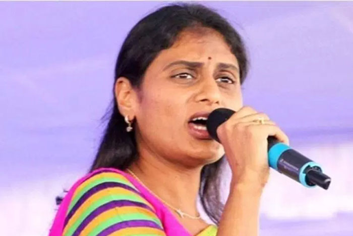 sharmila,pawan kalyan,janasena party,tdp  షర్మిలా.. అజ్ఞానం కాకపోతే ఏంటిది?