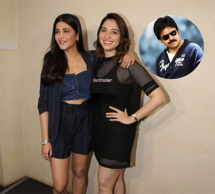 shruti haasan,tamanna,pawan kalyan,greatness,chit chat,fans  పవన్‌ని ఈ భామలు వదలడం లేదుగా?