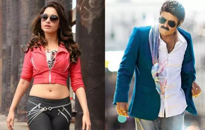 tamanna,rejected,balakrishna,boyapati srinu,movie,song,chance  చిరు, వెంకీలతో ఓకే.. బాలయ్యకే ‘నో’ చెప్పింది