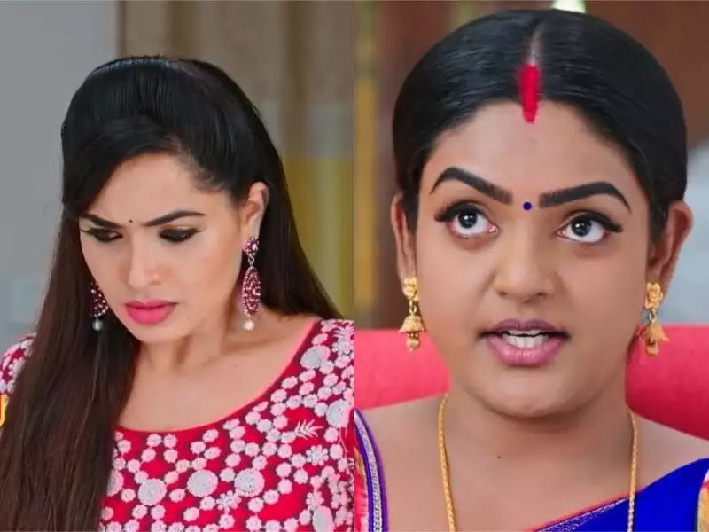 karthika deepam serial,karthika deepam serial update,karthik,deepa,vantalakka,docotr babu  కార్తీక దీపం: డాక్టర్ బాబు హత్య చెయ్యలేదు