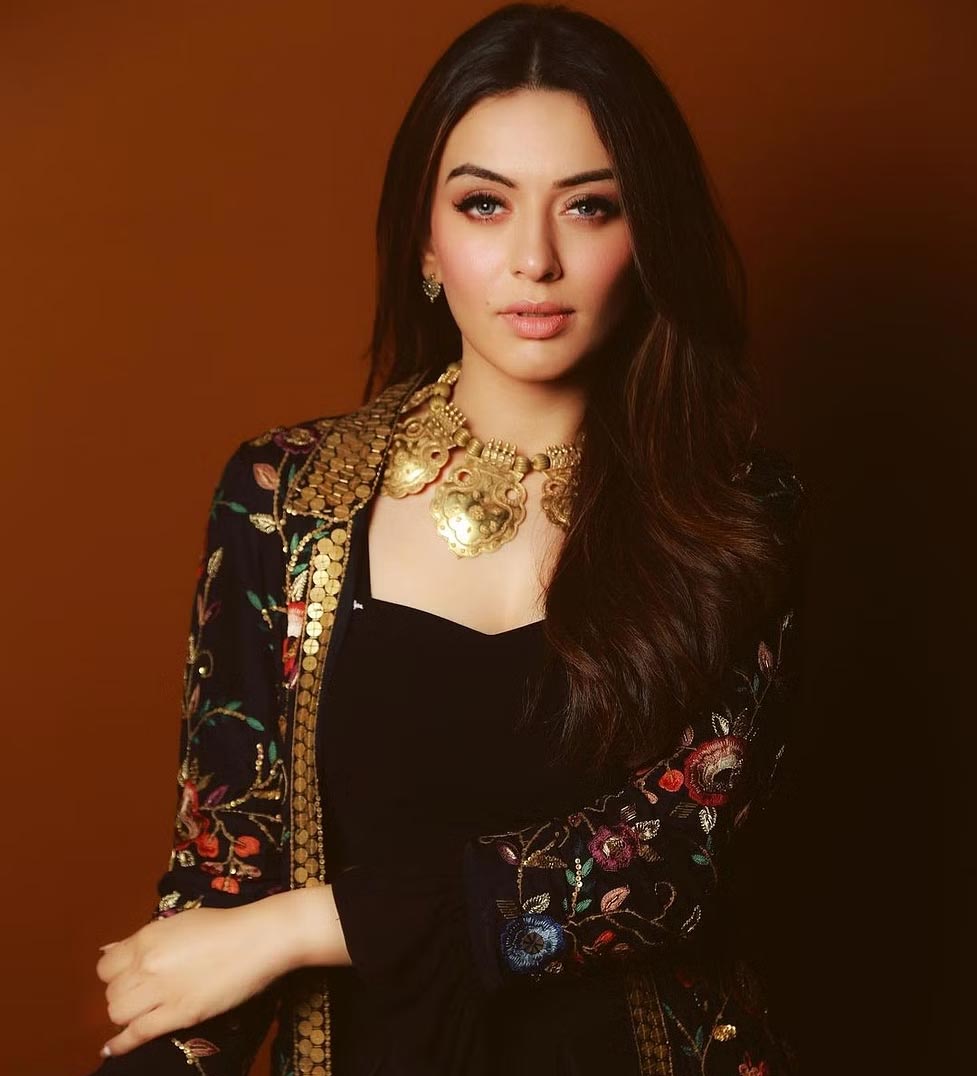 hansika,tollywood  టాలీవుడ్ హీరో వేధింపులు: హన్సిక ఫైర్ 