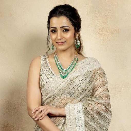 trisha  త్రిష తలుపుతడుతున్న టాలీవుడ్ ఆఫర్స్ 