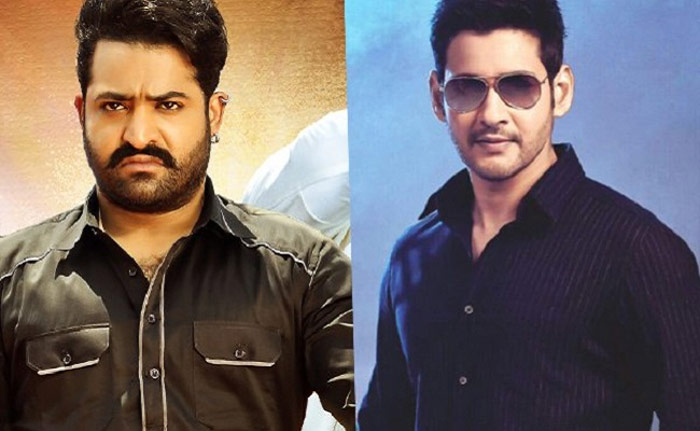 mahesh babu,ntr,fans,war,twitter  మహేష్, ఎన్టీఆర్ ఫ్యాన్స్ కి పడడం లేదు 