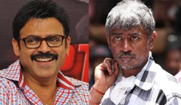 venkatesh,chandrasekhar yeleti,varahi movies,sai korrapati  ఈ ఏజ్ లో వెంకికీ టీనేజ్ అమ్మాయితో లవ్వా?