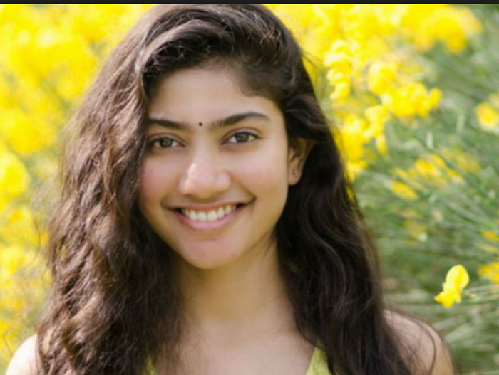 sai pallavi,venu udugula,telangana girl,next movie  'నీది నాది ఒకే కథ' తర్వాత సాయిపల్లవితోనే!