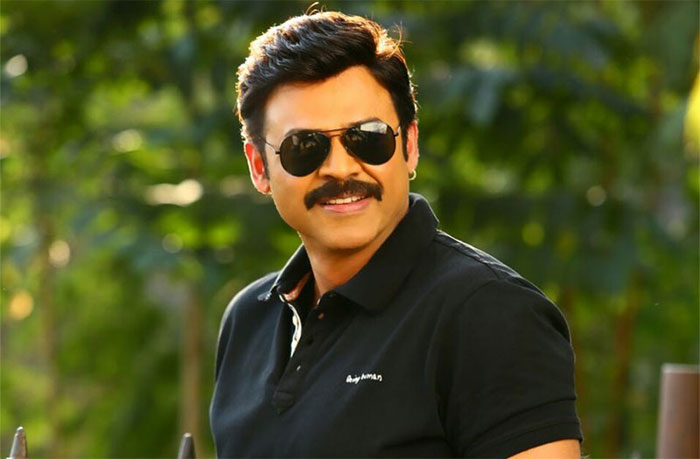 victory venkatesh,73 movies,not out,chiranjeevi,balakrishna  విక్టరీ వెంకీ‌కి సెంచరీ కొట్టే సత్తా ఉందా? 