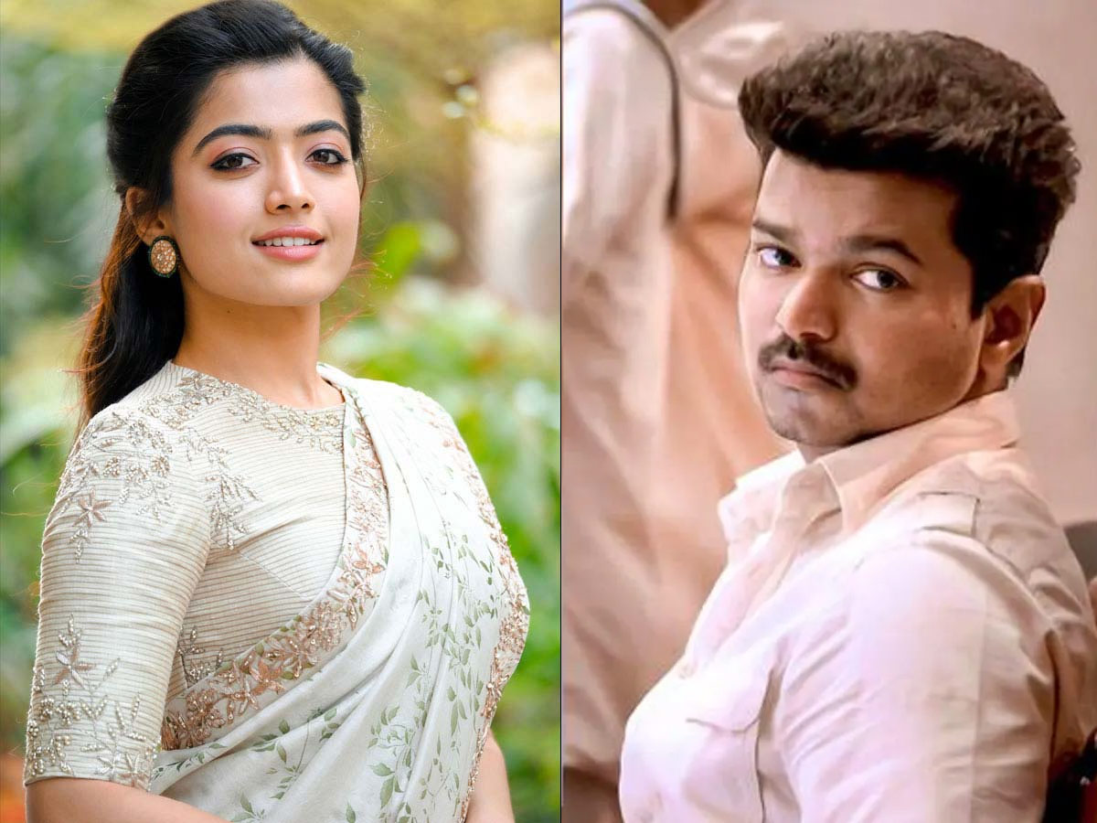 rashmika mandanna,vijay,thalapathy 66,vamsi paidipalli,dil raju,ram charan  జాక్ పాట్ కొట్టేసిన రష్మిక?